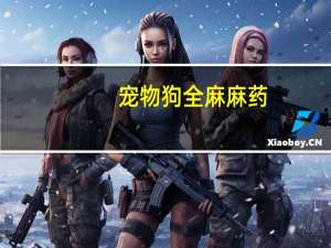 宠物狗全麻麻药
