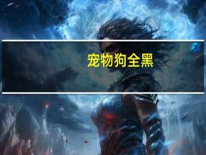 宠物狗全黑