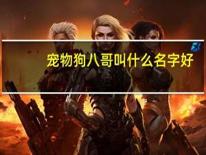 宠物狗八哥叫什么名字好