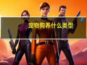 宠物狗养什么类型