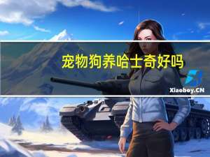 宠物狗养哈士奇好吗