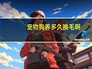 宠物狗养多久换毛啊