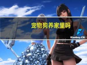 宠物狗养家里吗