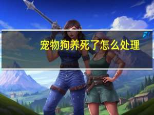 宠物狗养死了怎么处理