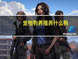 宠物狗养殖养什么狗