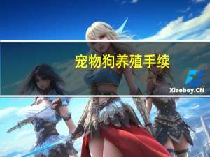 宠物狗养殖手续