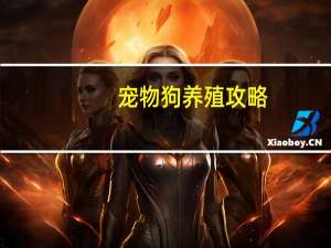 宠物狗养殖攻略