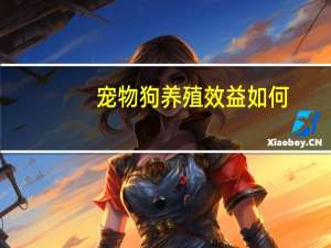 宠物狗养殖效益如何