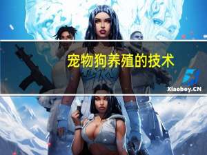 宠物狗养殖的技术