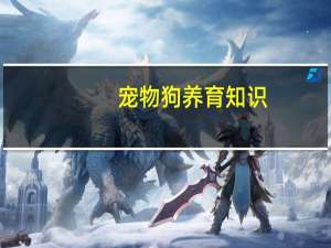 宠物狗养育知识