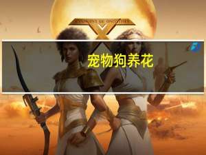 宠物狗养花
