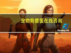 宠物狗兽医在线咨询