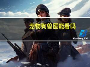 宠物狗兽医能看吗