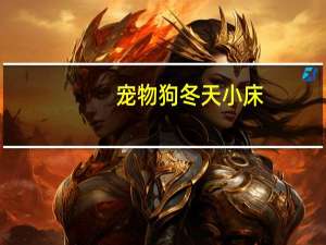 宠物狗冬天小床