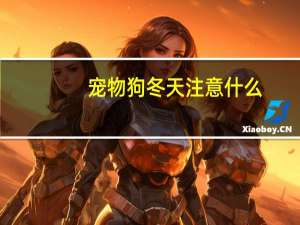 宠物狗冬天注意什么