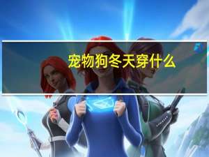 宠物狗冬天穿什么