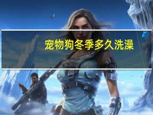 宠物狗冬季多久洗澡