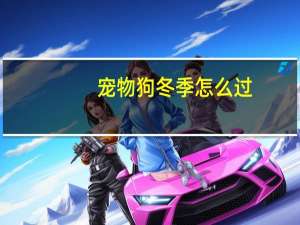 宠物狗冬季怎么过