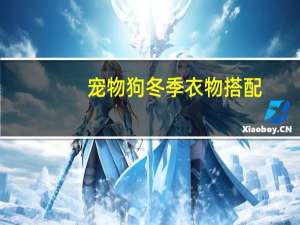 宠物狗冬季衣物搭配