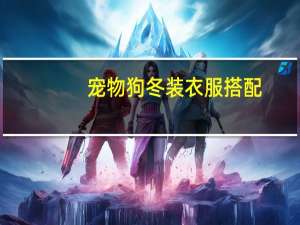 宠物狗冬装衣服搭配