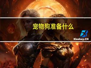 宠物狗准备什么