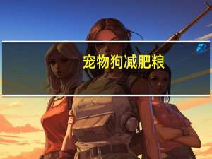 宠物狗减肥粮