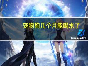 宠物狗几个月能喝水了