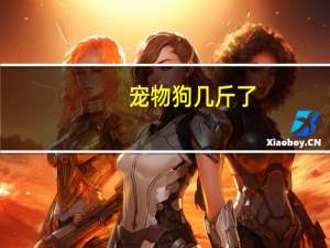 宠物狗几斤了
