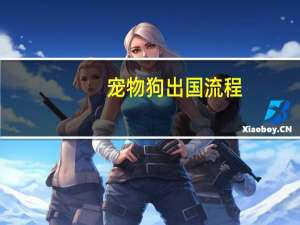 宠物狗出国流程
