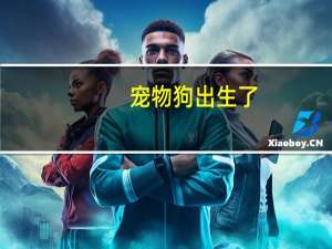 宠物狗出生了