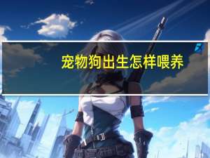 宠物狗出生怎样喂养