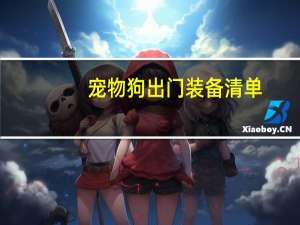 宠物狗出门装备清单