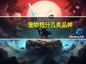 宠物狗分几类品种