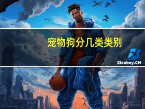 宠物狗分几类类别