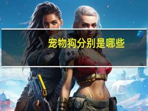 宠物狗分别是哪些