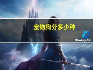 宠物狗分多少种