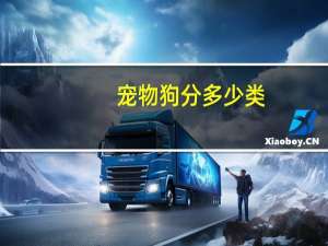 宠物狗分多少类