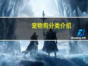 宠物狗分类介绍