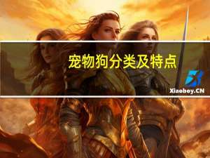 宠物狗分类及特点