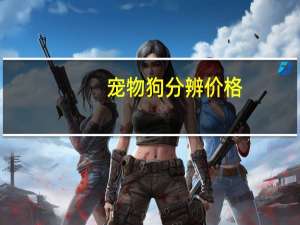 宠物狗分辨价格