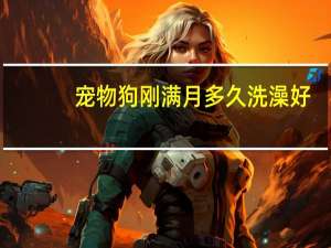 宠物狗刚满月多久洗澡好