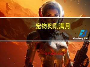 宠物狗刚满月