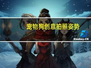 宠物狗创意拍照姿势
