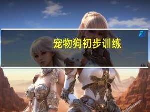 宠物狗初步训练