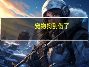 宠物狗刮伤了