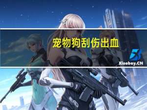 宠物狗刮伤出血