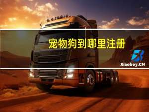宠物狗到哪里注册
