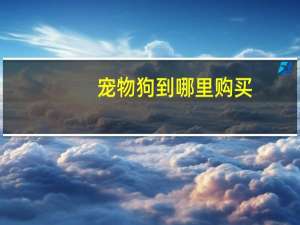 宠物狗到哪里购买