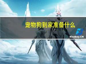 宠物狗到家准备什么