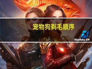 宠物狗剃毛顺序